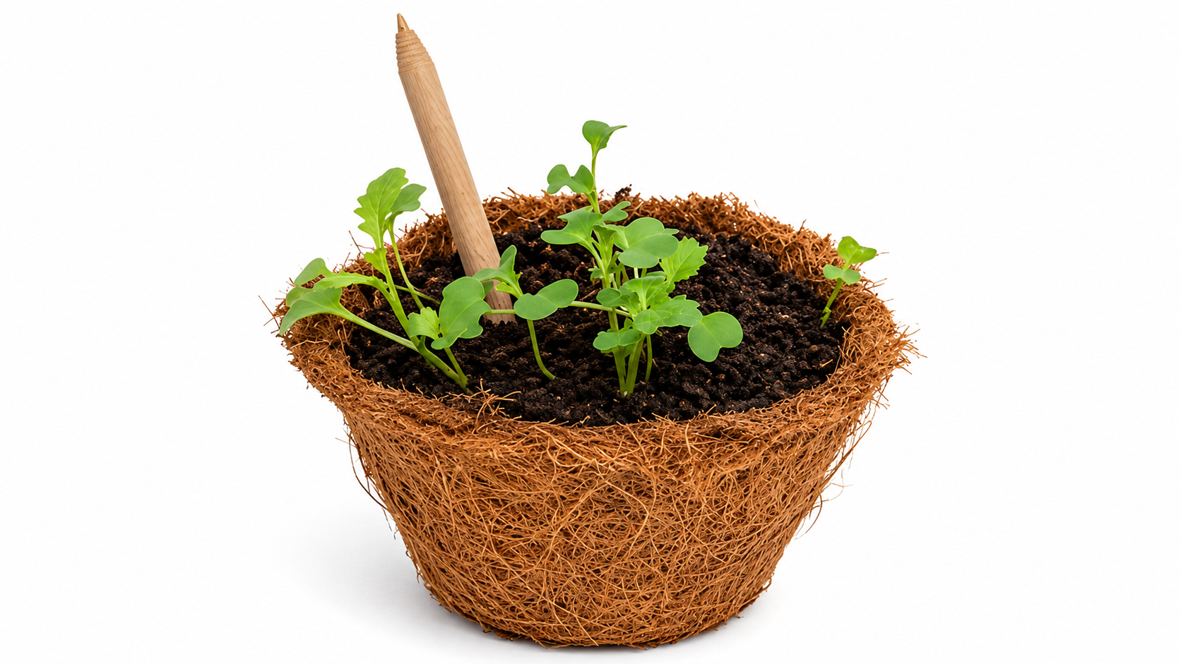 plantable recycled paper seed pens plantable recycled paper seed pens